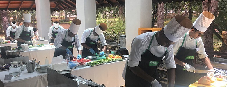 Master of Seasoning chefs work of their dishes Master of Seasoning chefs work of their dishes