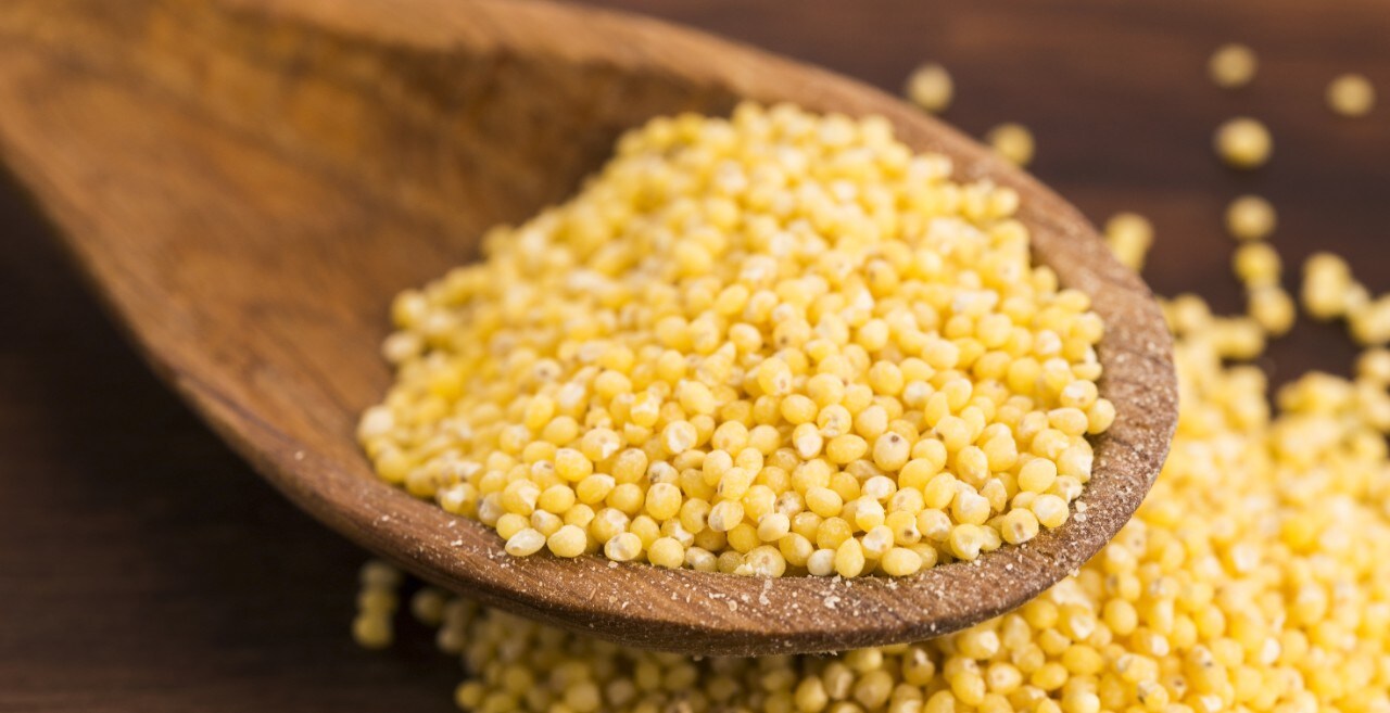 The grains our ancestors cultivated are making a comeback.