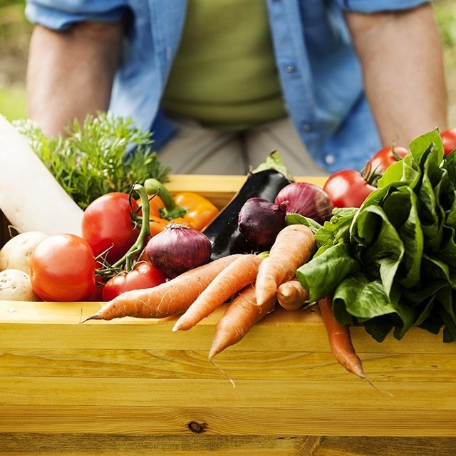 DOWNLOAD: A simple summary of plant-based eating