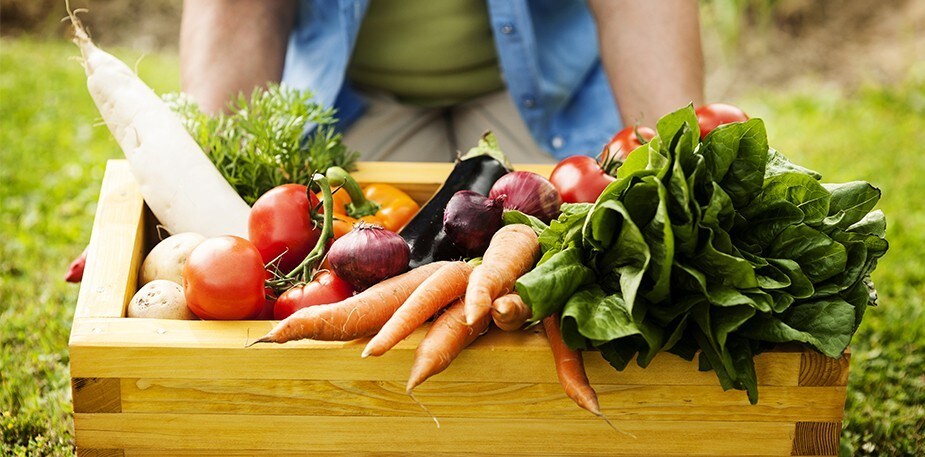 DOWNLOAD: A simple summary of plant-based eating