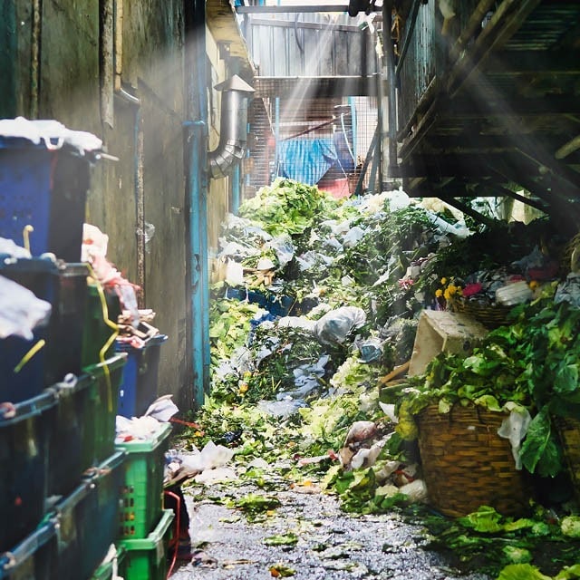 food waste management food waste management