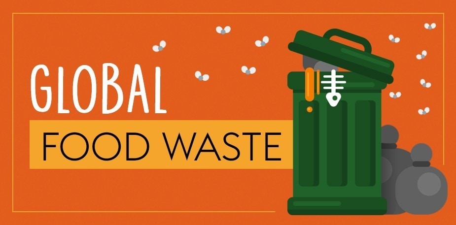 Infographic: Food Waste across the Globe