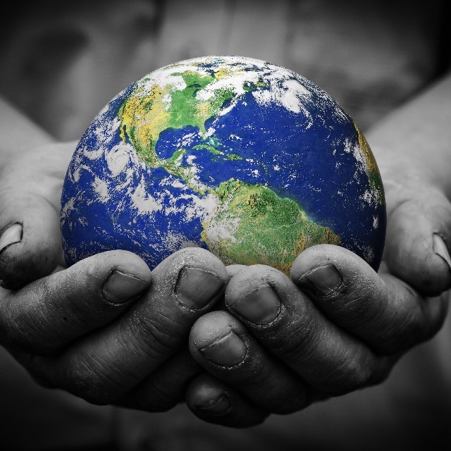 Want to help the environment in your kitchen? Here are the ways to do it…