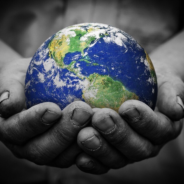 Want to help the environment in your kitchen? Here are the ways to do it…