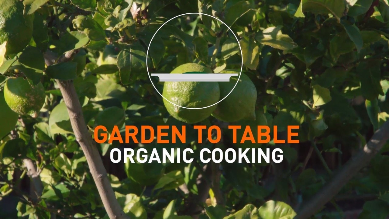 Garden to table Organic Cooking 